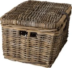 Fastrider Sera Rotan Fietsmand - Naturel - 26L - Handgemaakt - Met Klep