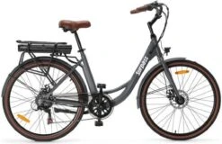 Elektrische Stadsfiets 26 '' (F264) - Stalen Frame - 6 Versnellingen Shimano - Schijfremmen - 10 Ah - Grijs