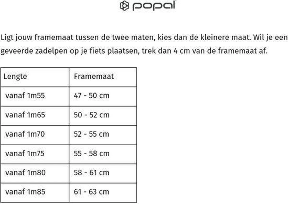 Popal Daily Dutch Basic - Fiets - Vrouwen - Donkergroen - 57 - Afbeelding 2